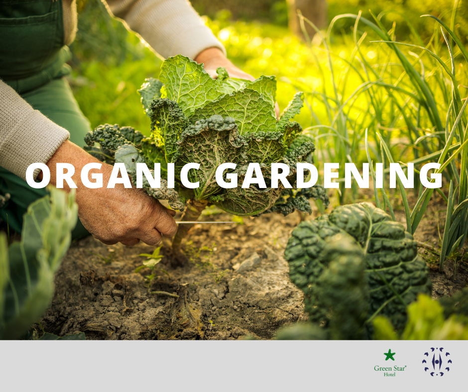 Organic Gardening